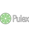 Pulex